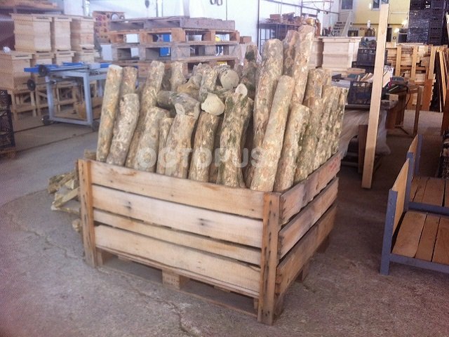 European Boxwood Half Logs.