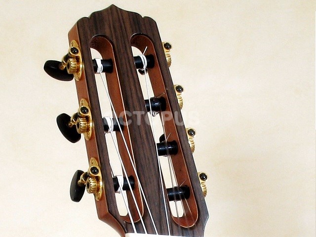 7 Stringed Guitar 