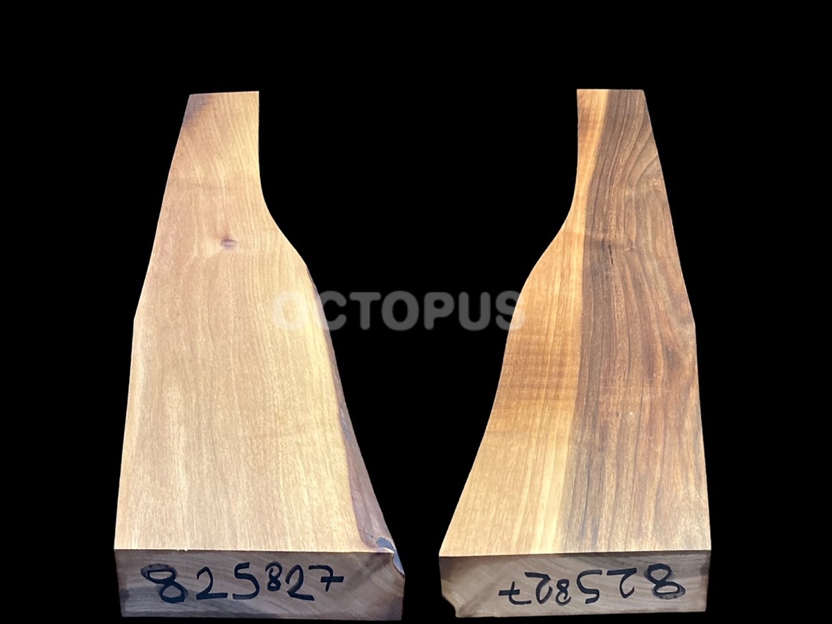 Turkish Walnut Gunstock Blank