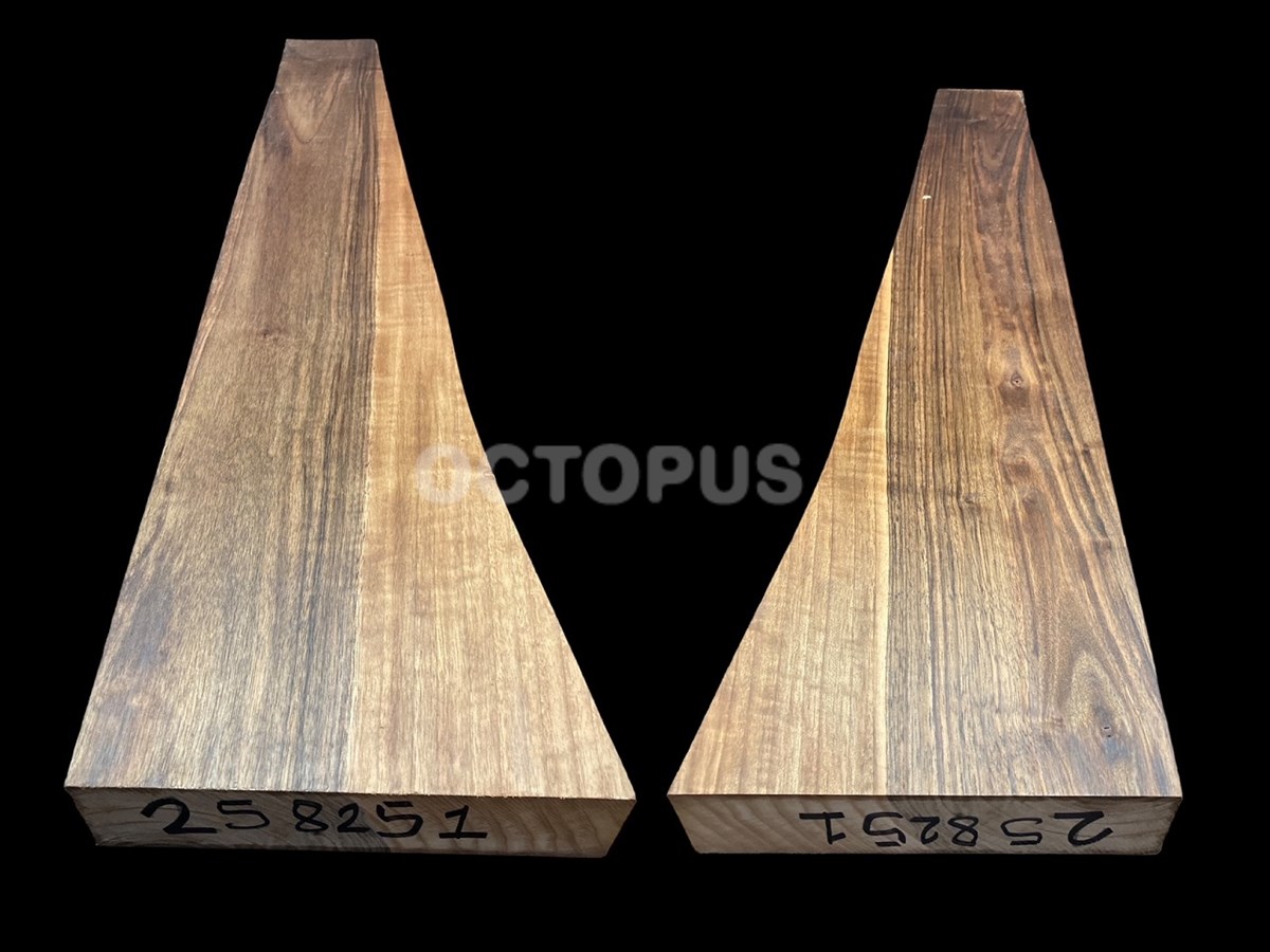 Turkish Walnut Gunstock Blank