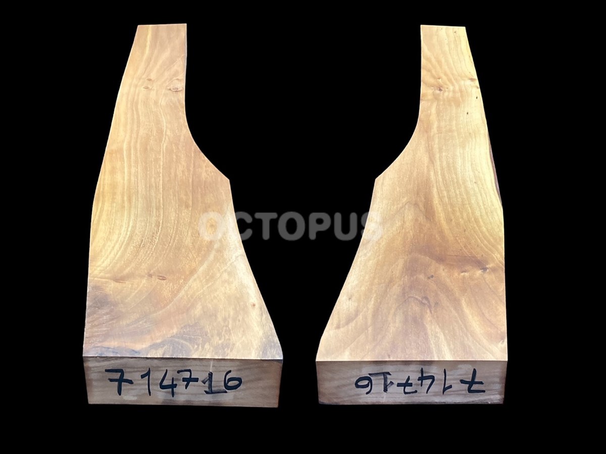 Turkish Walnut Gunstock Blank