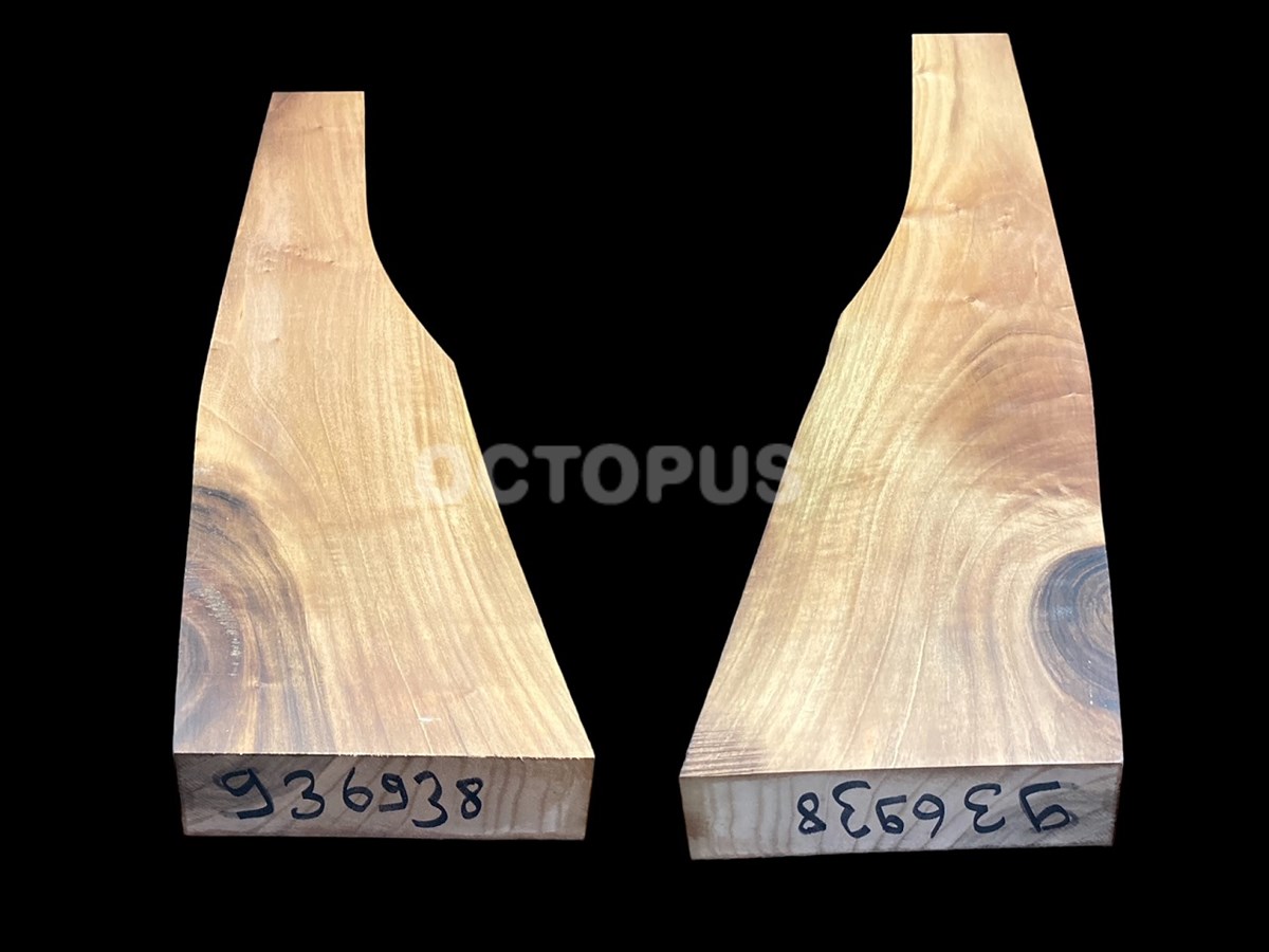 Turkish Walnut Gunstock Blank