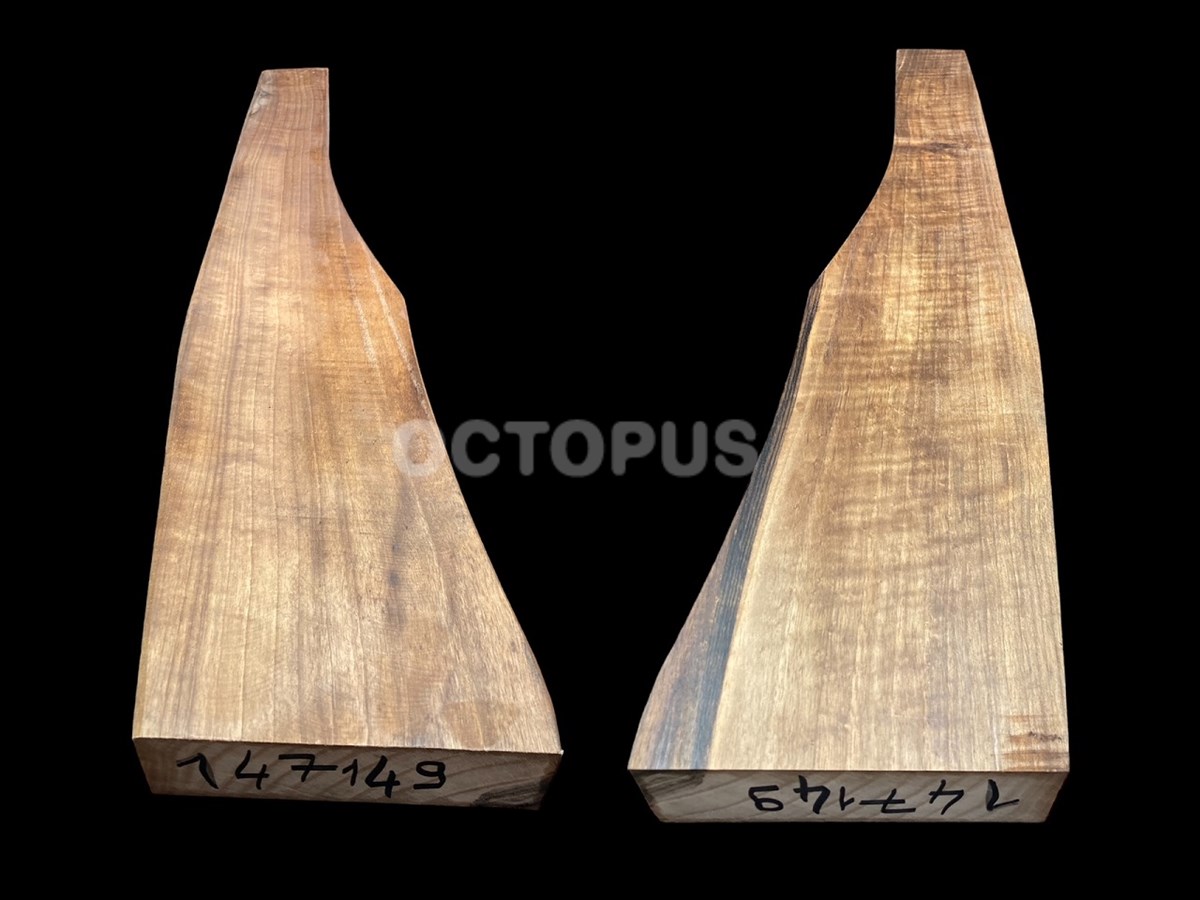 Turkish Walnut Gunstock Blank