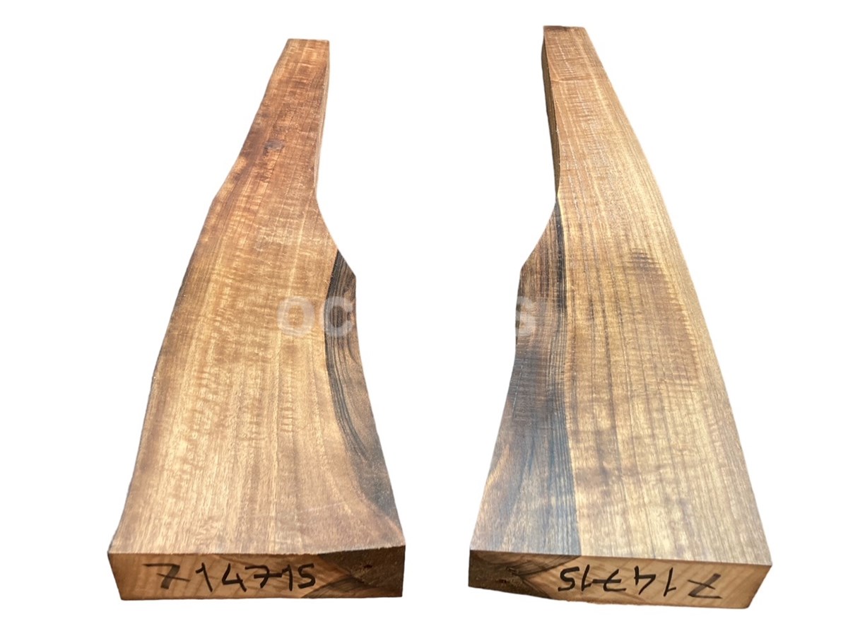 Turkish Walnut Gunstock Blank