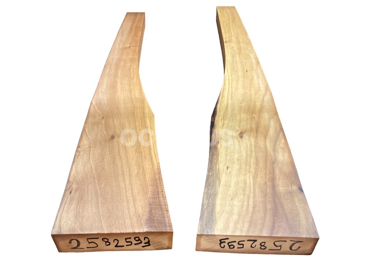 Turkish Walnut Gunstock Blank