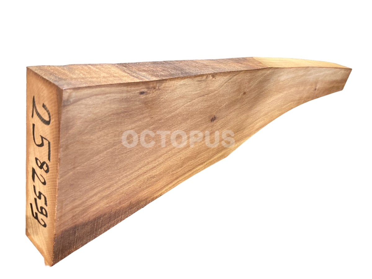 Turkish Walnut Gunstock Blank