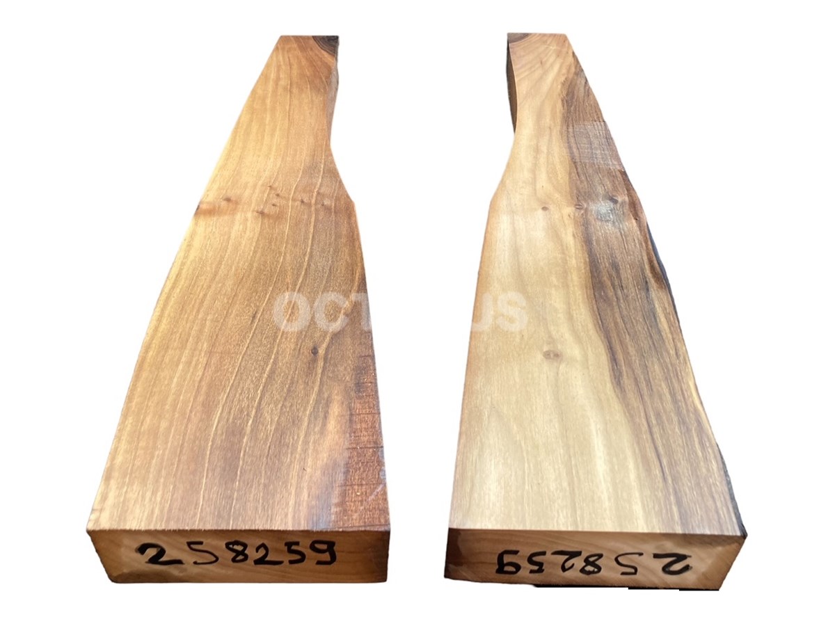 Turkish Walnut Gunstock Blank