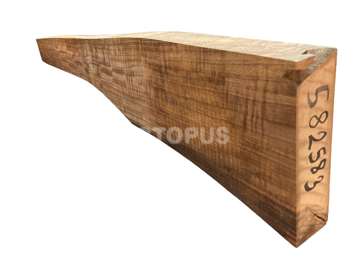 Turkish Walnut Gunstock Blank