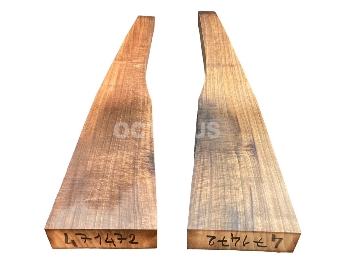 Turkish Walnut Gunstock Blank