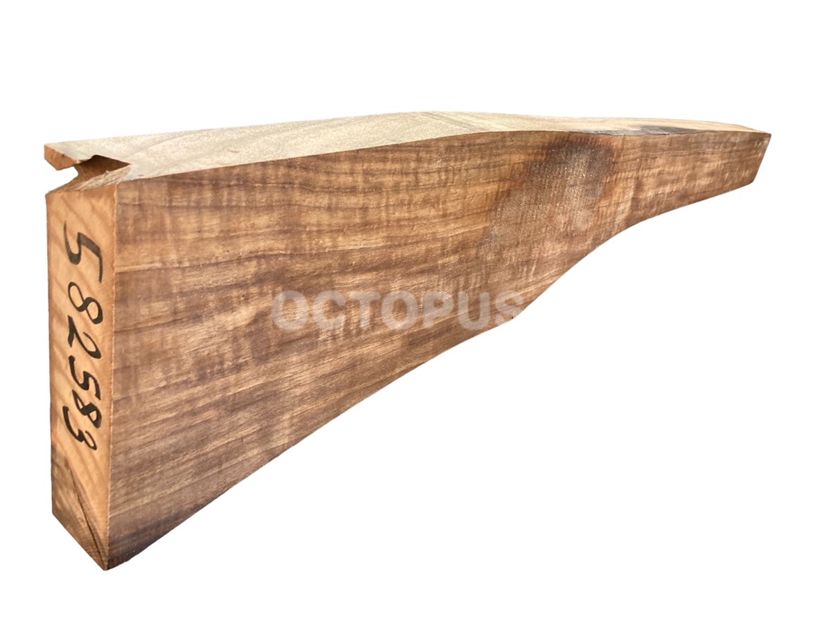Turkish Walnut Gunstock Blank