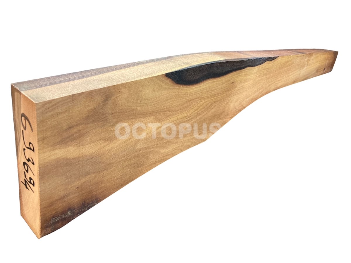 Turkish Walnut Gunstock Blank