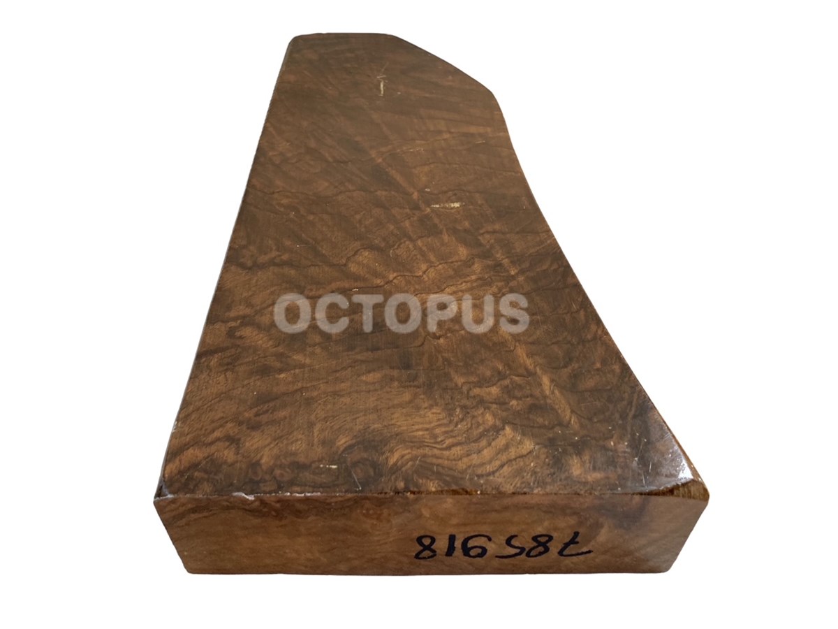 Turkish Walnut Gunstock Blank