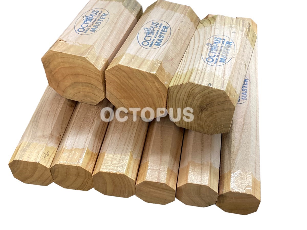 Apricot Tenor Recorder Set