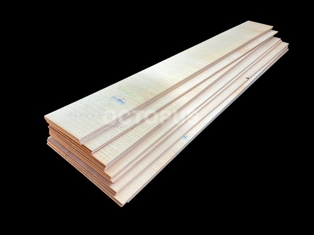 mm5x100-250x500-1800 Caucasian Spruce