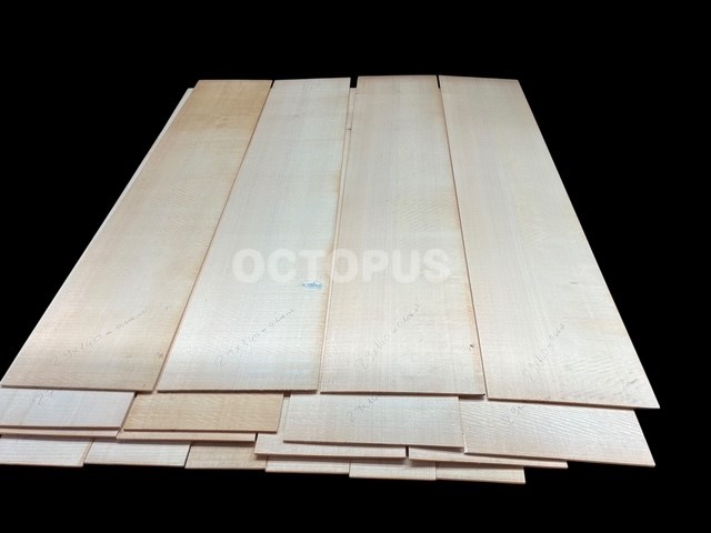 mm5x100-250x500-1800 Caucasian Spruce