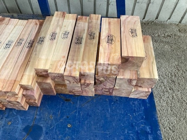 Plum Tenor Recorder Set