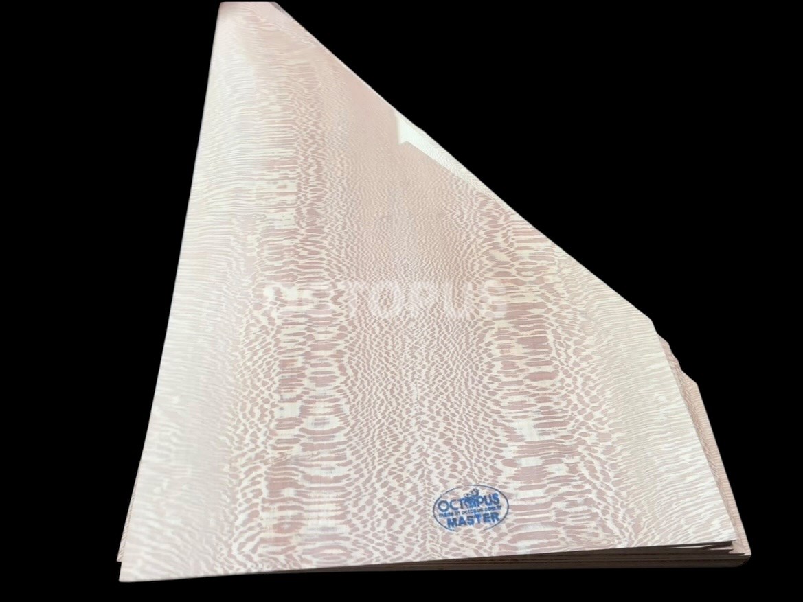 Master Grade Plane Kanun Top