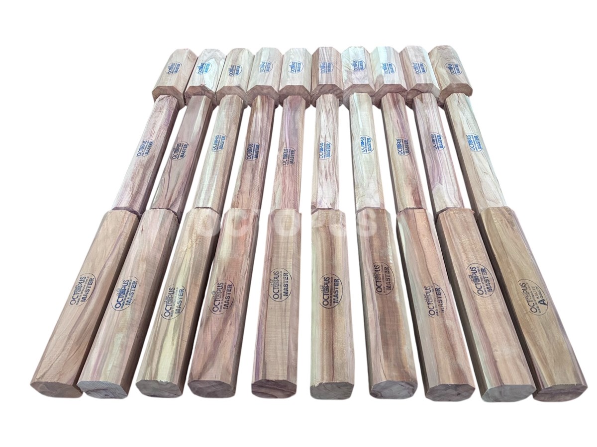 Plum Tenor Recorder Set